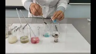 Растворимость различных веществ