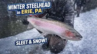 SNOW, SLEET & STEELHEAD | WINTER FISHING ERIE PA