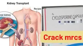 Ciclosporin in renal transplant patient MRCS question solve (CRACK MRCS)
