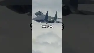 What if a Fighter Jet Hits a Bird?