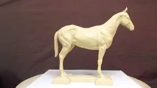 Anatomy of the Horse Sculpture