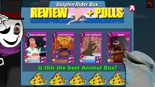 Dolphin Rider Box (Review) | Animation Throwdown