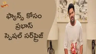 Prabhas Special Surprise for Fans | #Prabhas | #Sahoo | LR Media