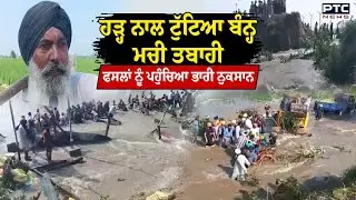 Punjab Flood News : Khemkaran ਦੇ ਪਿੰਡ ਮੀਆਂਵਾਲ 'ਚ ਟੁੱਟਿਆ ਬੰਨ੍ਹ ,  ਫਸਲਾਂ ਨੂੂੰ ਪਹੁੰਚਿਆ ਭਾਰੀ ਨੁਕਸਾਨ