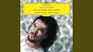 Schubert: Die schöne Müllerin, Op. 25, D. 795: V. Am Feierabend