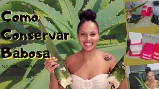 COMO CONSERVAR A BABOSA NA GELADEIRA
