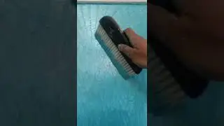 Royale Play seashell