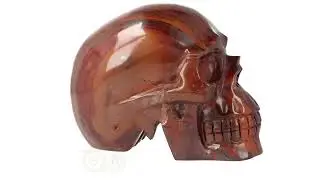 Tijgerijzer schedel XL  Nr 5   - 3.8 kg - Tijger ijzer schedel kopen