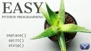 Python Programming: Tutorial 5: replace() | strip() | split()