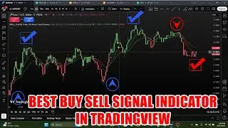 TraderXO Macro Trend Scanner - Best Buy Sell Signal Indicator in TradingView