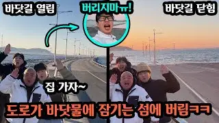 바닷가 섬 놀러 가서 찐텐 나올때까지 왕따시키기ㅋㅋㅋㅋ