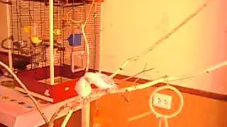 MOV01759