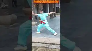 SHOWLIN YOGA🧘&zwj;♀️ KUNG FU🔥 MARTIAL ARTS🚀 MMA🚀 UFC🔥 WWE🚀#yoga #selfdefense #shortsfeed #shorts #yt😱