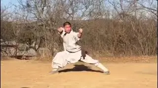 Shaolin Da Hong Quan: Er Lu