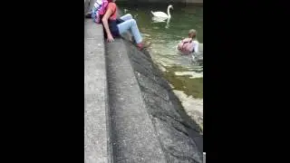 Take a swim in lake Lucerne