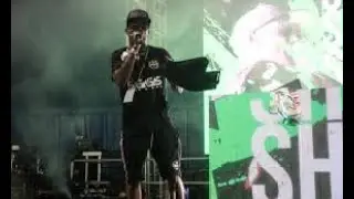 DJ Swan-e with Skibadee and Det @ Best of British 2004