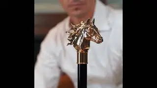 Luxury walking canes