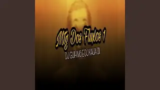 Mtg Dos Fluxos 1 A Puraaa