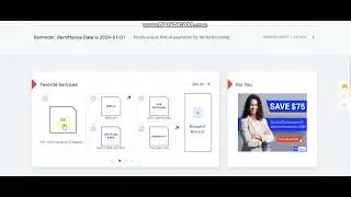 how to check IATA/BSP link Customer Portal Fortnight Payment E Statement