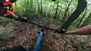 Premijerno Deep Forest - MTB Evolution