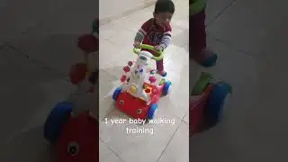 1 year baby walking tran, Walking Wonders: A Guide to Training Your 1 year old baby