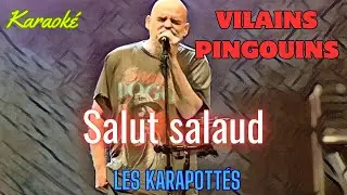 Vilains Pingouins - Salut salaud (Karaok&eacute;)