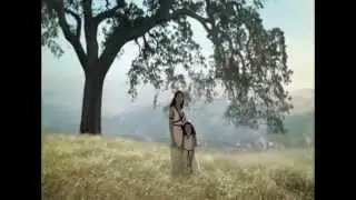 Assasind Creed and God of War