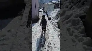 #snow