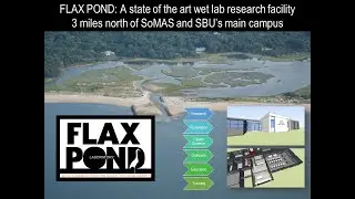 SoMAS Flax Pond Marine Lab