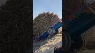 Belarus 510 tractor accident with loaded trolley | #tractor #tractorpulling #farmequipment #accident