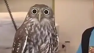 CREATIVE MEME - COMPILATION #3
