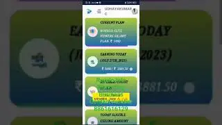 Rayalo info Marketing Business