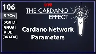 Cardano Mainnet Parameter Debate and Discussion with Stake Pool Operators | TCE 106