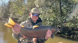 Bobber Down Spring Steelhead Fishing The Betsie River In Michigan