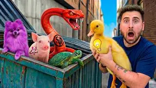 RESGATEI OS ANIMAIS DOS YOUTUBERS ABANDONADOS! *COITADINHOS