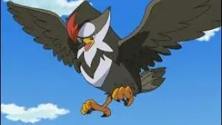Staraptor , Staravia & Starly All Attacks ( Pokemon ) #pokemon #staraptor #staravia #starly
