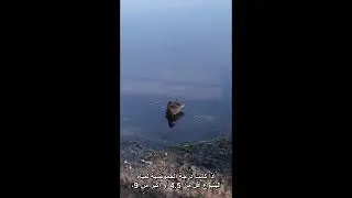 HRWC STEM pH (Arabic)