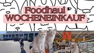 Foodhaul WOCHENEINKAUF 26.04.22 | neue Brille |Ille & Irmi 😍 #diedonnerstagsfrauen #apollo
