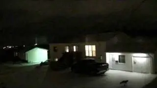 Fox caught tonight on security camera