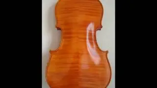 Viola 407mm (Test 237