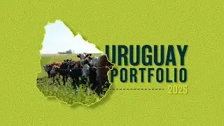 The Land Group - Overview of our 20,000-hectare Precision Grazing portfolio in Uruguay
