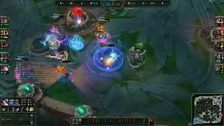 FIORA QUAD