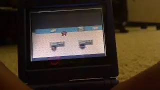 Pokemon Gold-Rainbow Wing