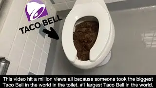 A Video of Paper Towels Some Kids Stuffed Down the Toilet Full Shoot!