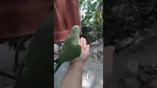 When animals trust humans!!