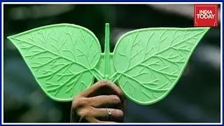 Twin Leaf Symbol Of AIADMK Frozen By Election Commission