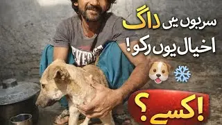 Sardiyon Ke Mausam Mein Dogs Ke Sath Aisa Karna Chahiye 🐶❄️ New  Dog Video 