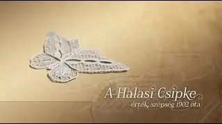 A Halasi Csipke - érték, szépség 1902 óta