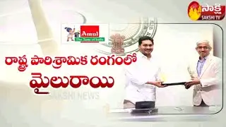 AP govt inks pact with Amul for dairy development | Sakshi TV