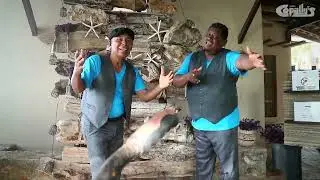 Grupo Copallys - DEJALA Video Oficial #arcesrecords